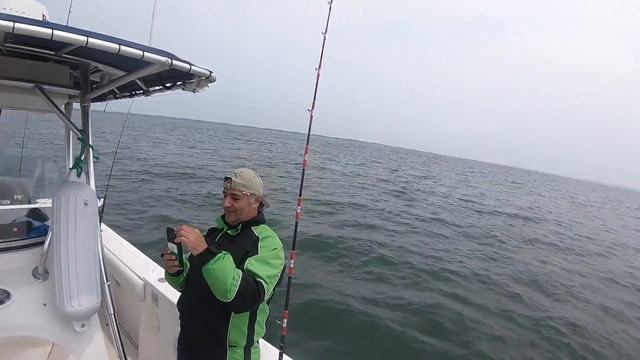 $13K FLUKE TOURNAMENT WIN with a MONSTER DD FLUKE!!! 6/2/2019 SUPER VELONA смотреть онлайн