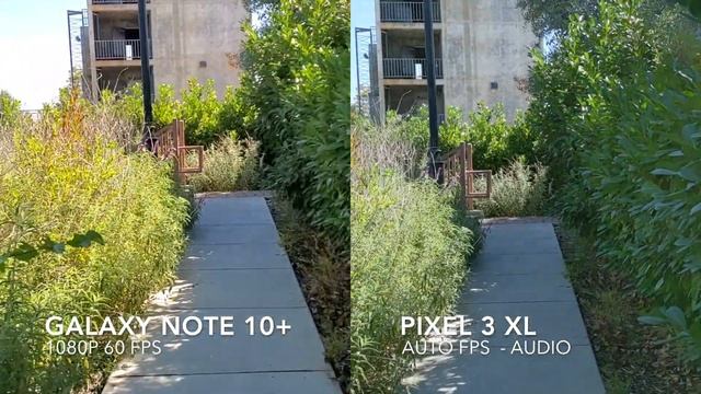 Samsung Galaxy Note 10 Plus vs Google Pixel 3 XL Camera Comparison смотреть онлайн