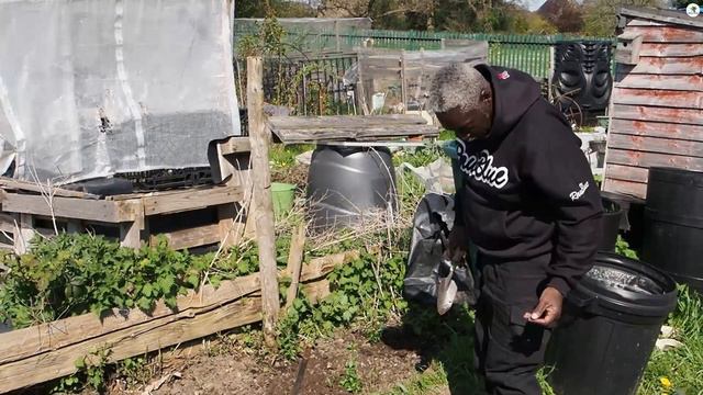 D.W.W. Gardening 2023 - Planting Some Fuchsias, Climbing Clematis and Blueberries - Helping The Bee смотреть онлайн