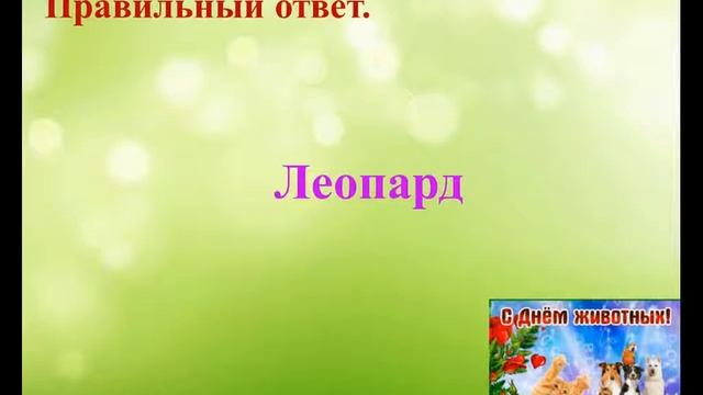 Познавательная онлайн-викторина На Красной странице звери и птицы смотреть онлайн