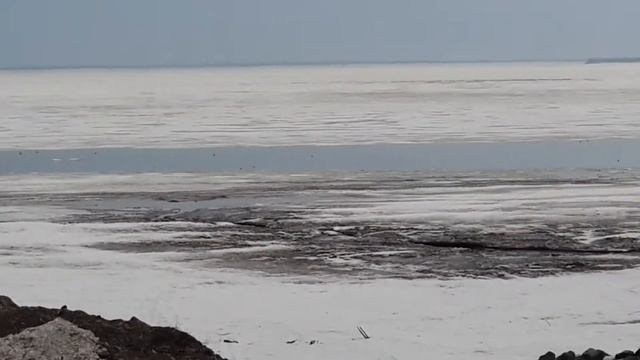 Утки прилетели 30.03.2015 г.Хабаровск смотреть онлайн