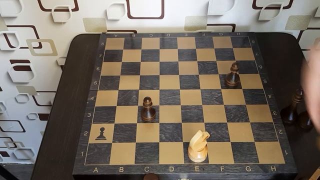 Как ходят фигуры в шахматах? Урок №1 смотреть онлайн