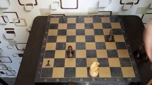 Как ходят фигуры в шахматах? Урок №1