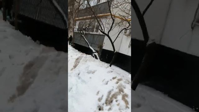 Конечная автобусная станция маршрутов №690 и693 (01.02.2021 г.) "Бирюлево-пассажирская" смотреть онлайн