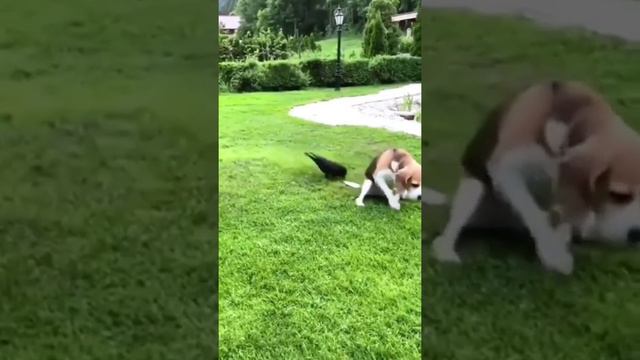 Ай блин больно смотреть онлайн