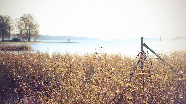 Rehabilitate - Original VGM (Just Beneath The Skin 3D OST) смотреть онлайн