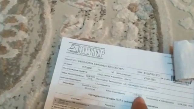 Мутные результаты ПЦР ТЕСТА... смотреть онлайн