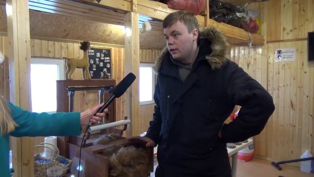 Ферма "Российские Альпаки" смотреть онлайн