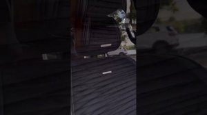 Автомобильные накидки премиум класса Monaco | CarFashion