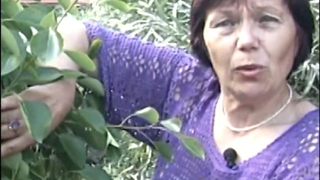 Формировка груши скручиванием смотреть онлайн