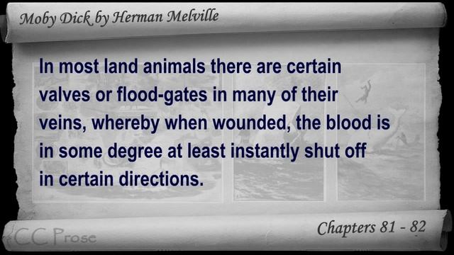 Chapter 081-082 - Moby Dick by Herman Melville смотреть онлайн