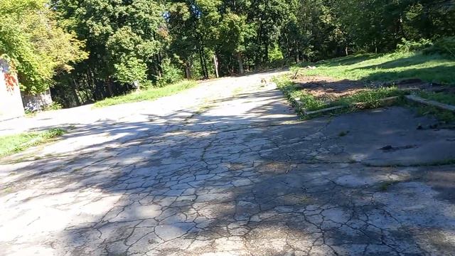 Дрессировка питбуль Дара команда "апорт" возврат . смотреть онлайн