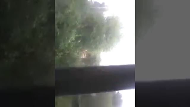 Последствия кап ремонта или горе- мастера смотреть онлайн