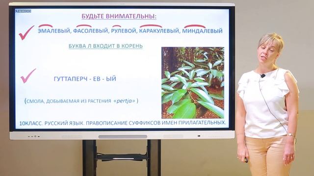 10 класс. Русский язык. Правописание суффиксов в именах существительных смотреть онлайн