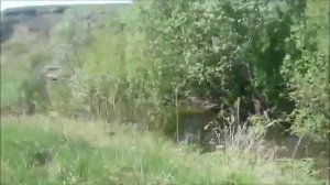 Река Колба (24 мая 2020г) Выпуск от 24 августа 2020 года