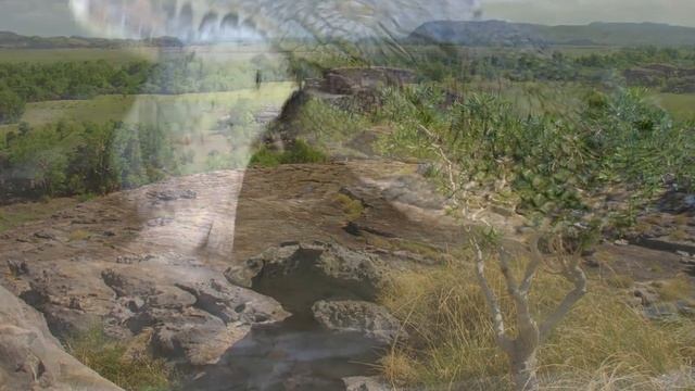 Австралия.Природа и животный мир. Часть 1 смотреть онлайн