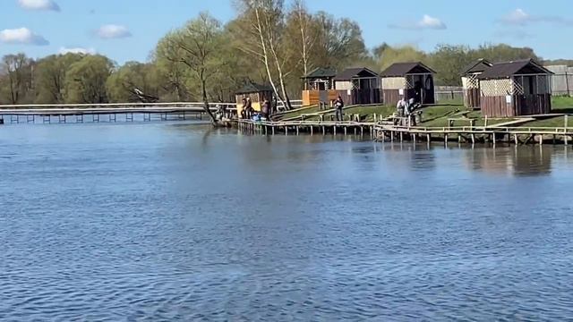 Зарыбление форели 100 кг смотреть онлайн