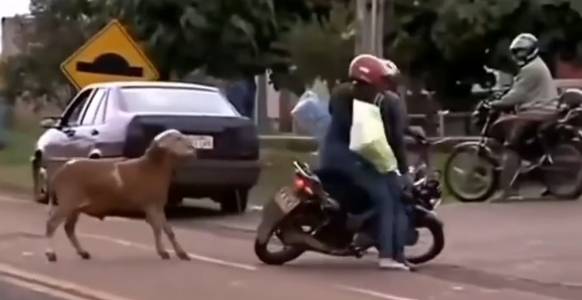 Бандюган. смотреть онлайн