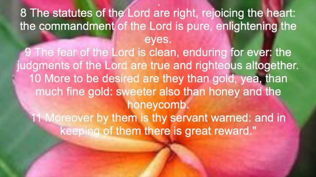 Audio Sermon Psalm 19:7-14 "God's Word: Glorious Perfection and Preciousness" 3-15-2020 смотреть онлайн