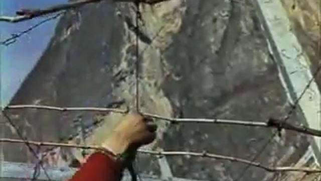 Uva sulla montagna - La viticoltura in Trentino negli anni Sessanta смотреть онлайн