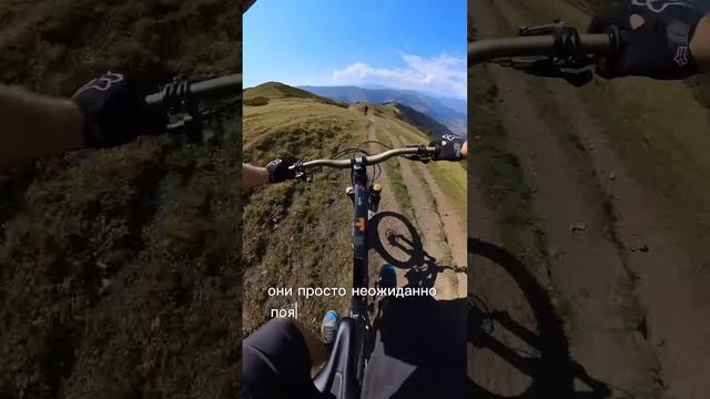 Как я нахожу новые тропы? https://likebike.ge/ #patrekeymtb #велосипед #даунхилл #велоспорт #mtb смотреть онлайн