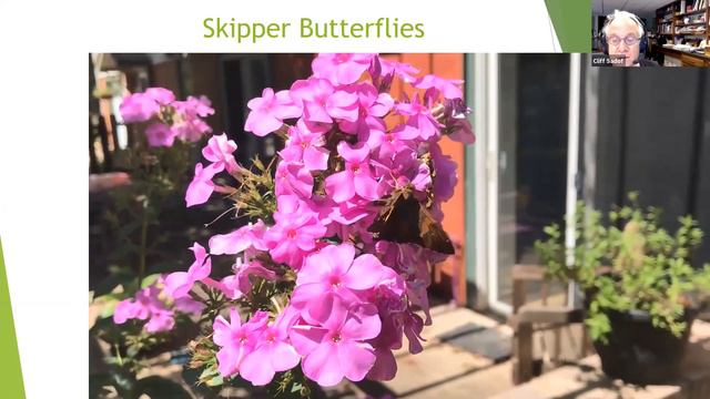 Purdue's Winter Cluster Webinar - Sep 24 2020 смотреть онлайн