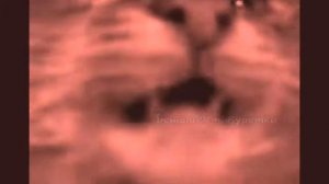 Кит ты маму мав ? Оригинал Мемы 2020