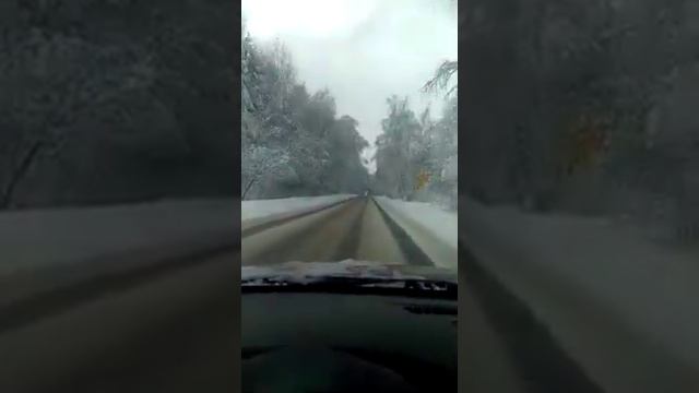 Ужасно красивые деревья... смотреть онлайн