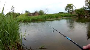 Ловля голавля и других видов рыб. Первый тест спиннинга Nautilus Furyosa 762L