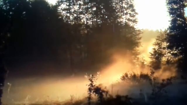 Душевный стих " Как здорово проснуться рано!" смотреть онлайн