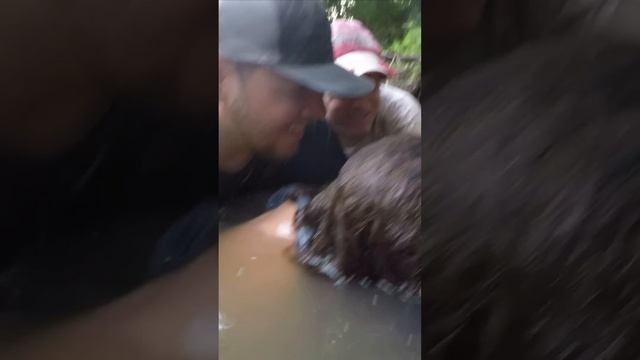 HUGE CATFISH WRESTLED OUT FROM UNDER ROCK! WOW! #shorts #kids смотреть онлайн