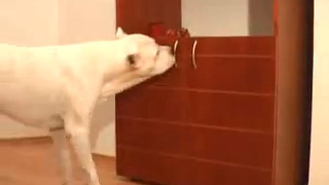 Они нас тоже очень любят =)) смотреть онлайн
