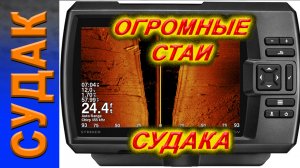 ОГРОМНЫЕ СТАИ СУДАКА на экране эхолота Garmin Striker Plus 9sv