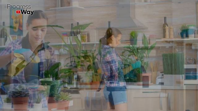 СПАТИФИЛЛУМ ВЯНЕТ И БОЛЕЕТ Что Делать! Цветок ЖЕНСКОЕ СЧАСТЬЕ смотреть онлайн