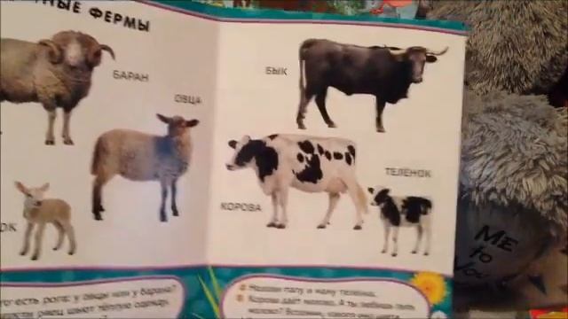 Первые книжки для ребёнка до года. Наши любимые. (