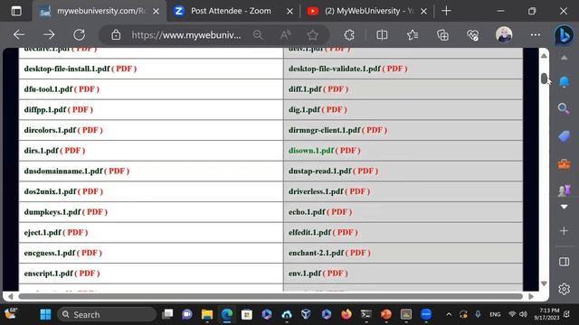 Over 32,000 PDF Files Generated In One Python Program смотреть онлайн