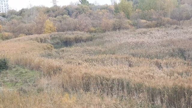 Разлив реки Студенец смотреть онлайн