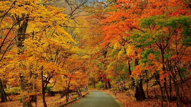 песня осень смотреть онлайн