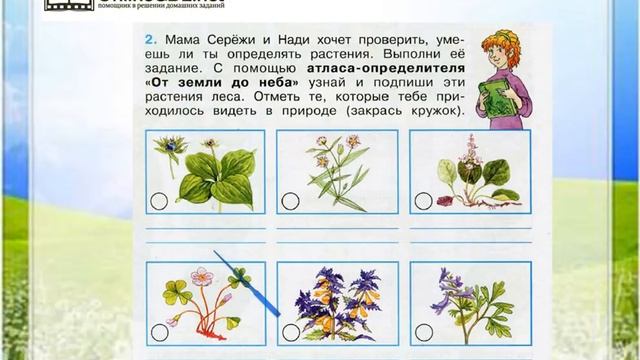 Задание 2 Жизнь леса - Окружающий мир 4 класс (Плешаков А.А.) 1 часть смотреть онлайн