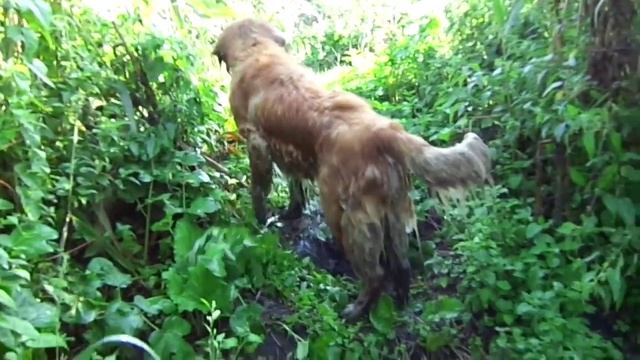 Короче говоря, мы пошли на рыбалку! смотреть онлайн