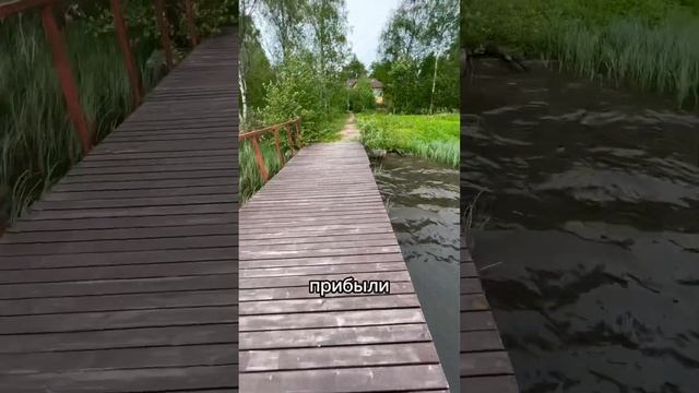 Рыбалка в СПб. Полное видео у меня на канале)) #рыбалка #рыбалкаспб #рыбалка2023 #плотва #природа смотреть онлайн