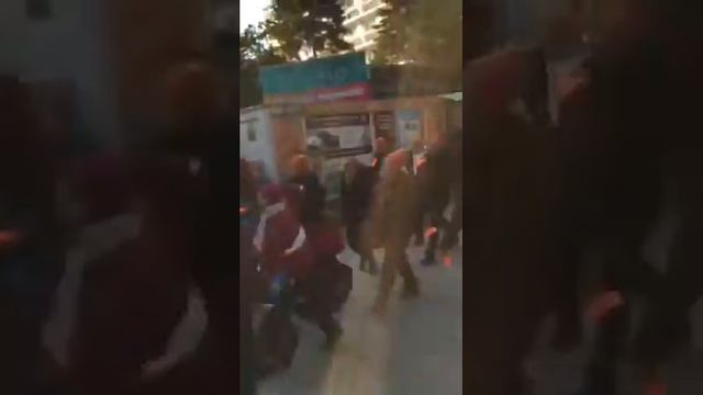 Парад моржей на фестивале в г. Колобжег (Kołobrzeg) смотреть онлайн