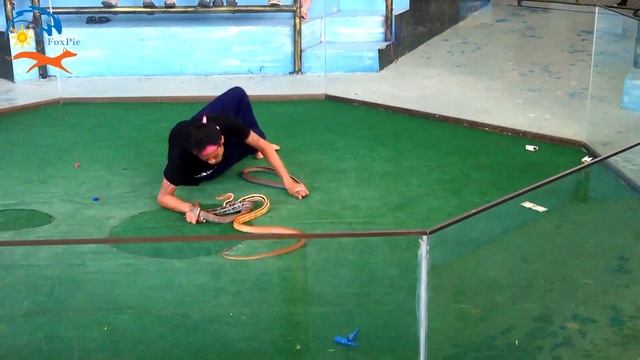 Укусил змею смотреть онлайн