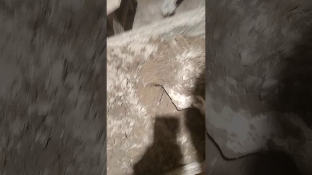 мешаем песок цемент примерно 1часть цемента 5 частей песка 2 -з части воды смотреть онлайн