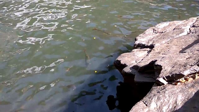 ВОДОПАД ДУДХСАГАР ИНДИЯ ГОА смотреть онлайн