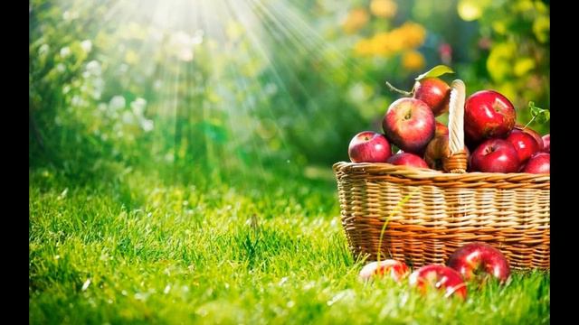 сыроедение польза и вред смотреть онлайн