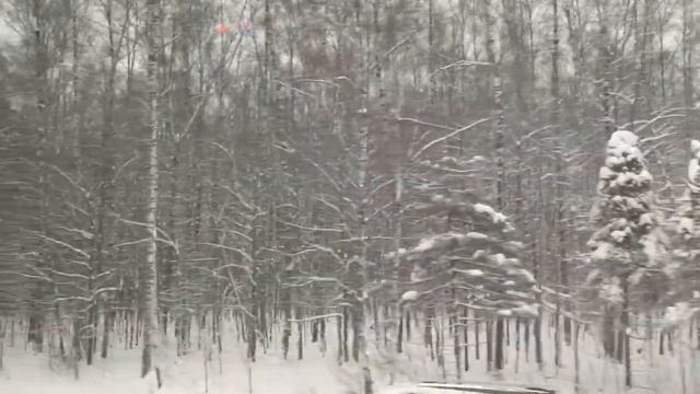 25 декабря 2021 г. По дороге в Абрамцево. смотреть онлайн