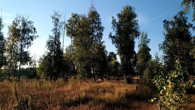 20 сентября-ЛУКОВ день.Печальный день.Как лук избавит...Народные приметы смотреть онлайн