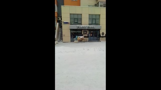 Мясной ресторан в Челябинске. смотреть онлайн