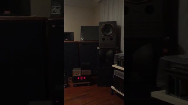 Tannoy system 12 DTM II with GOLD speakers смотреть онлайн